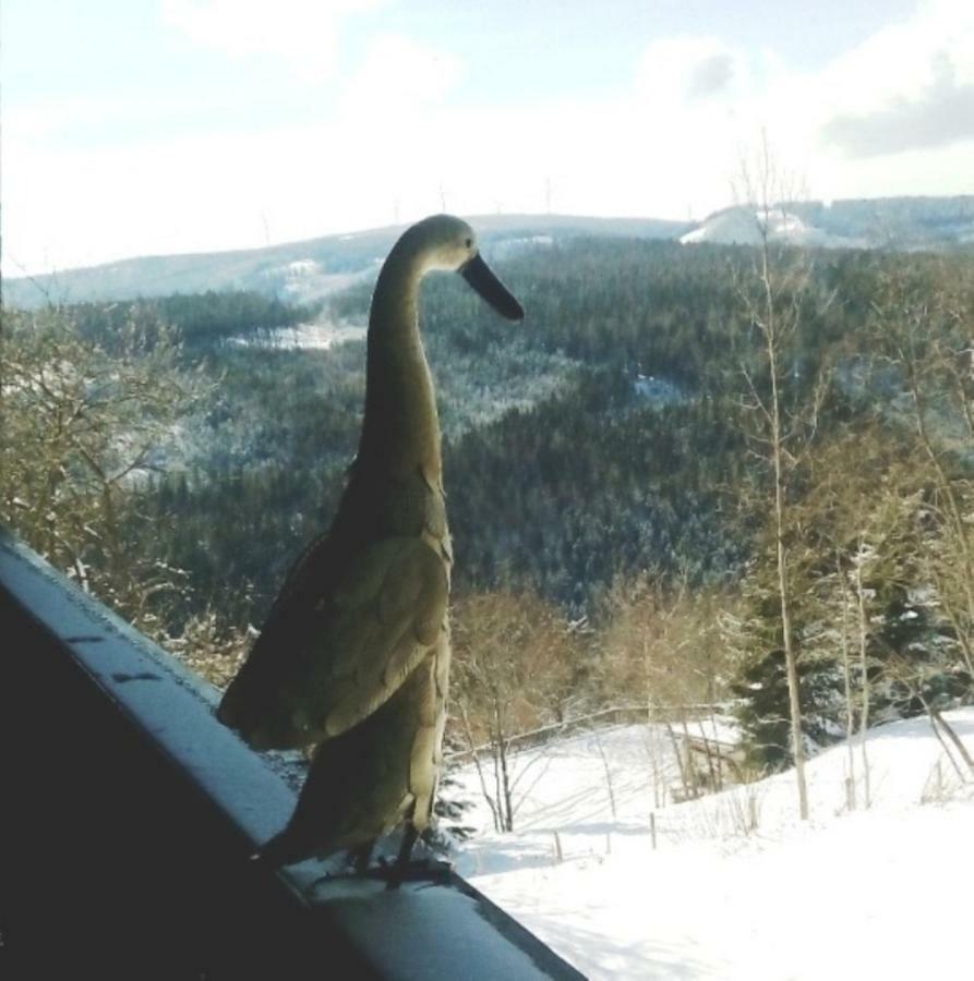 Gaestehaus Fridolin Krieglach Esterno foto