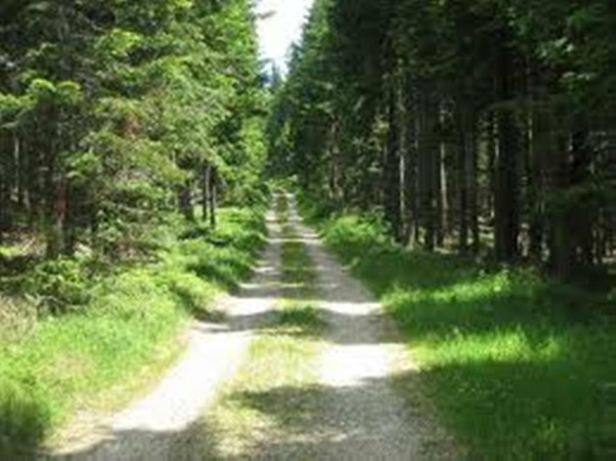 Gaestehaus Fridolin Krieglach Esterno foto